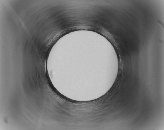 X0000102770013200809151050