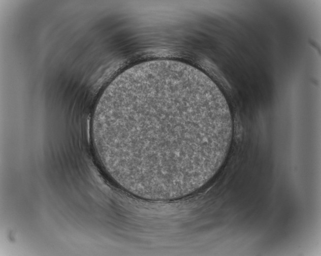 X0000102770014200809151050