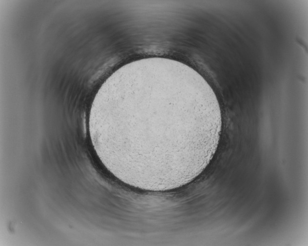 X0000102770020200809151050