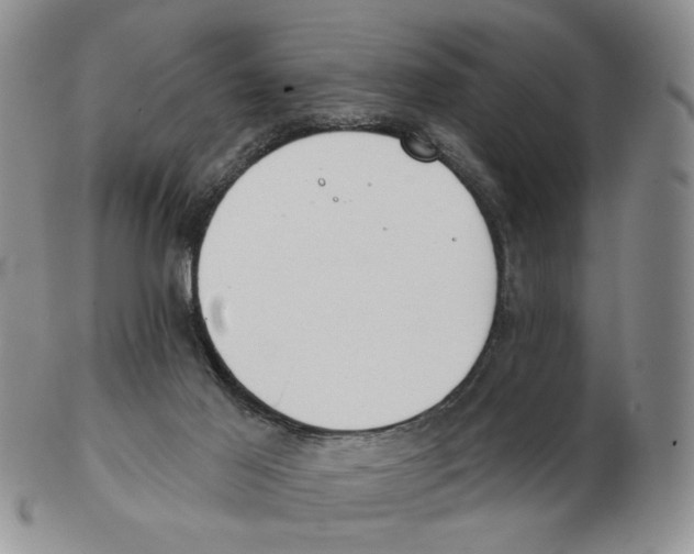 X0000102770021200809151050