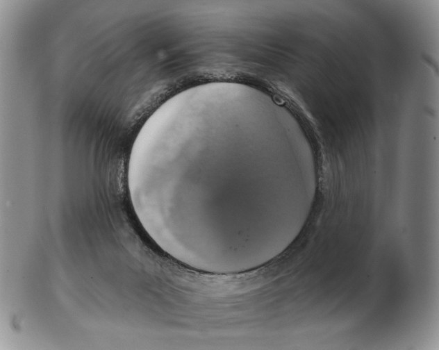 X0000102770023200809151050