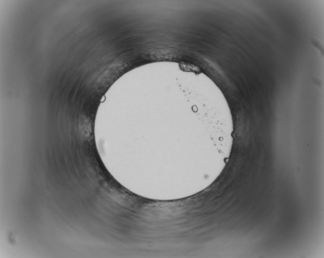 X0000102770025200809151050