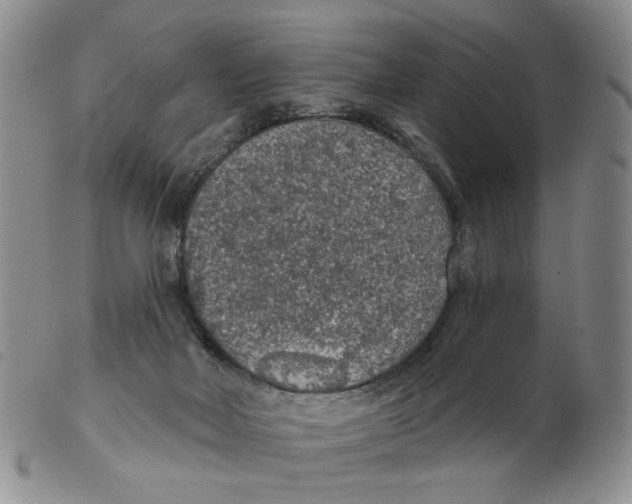 X0000102770026200809151050