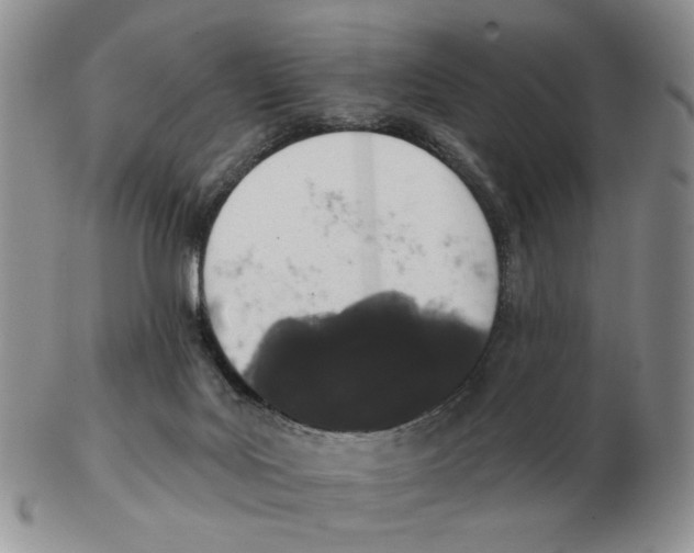 X0000102770027200809151050