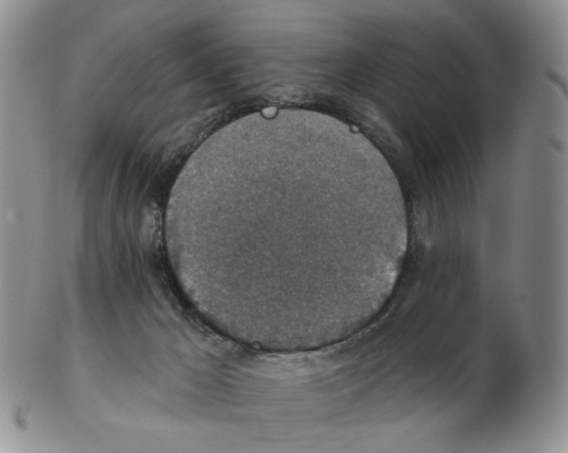 X0000102770029200809151050