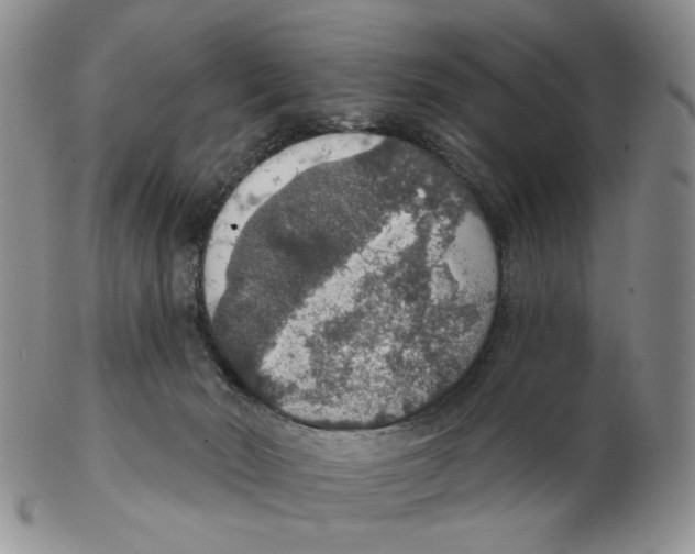 X0000102770030200809151050