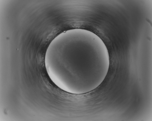 X0000102770031200809151050