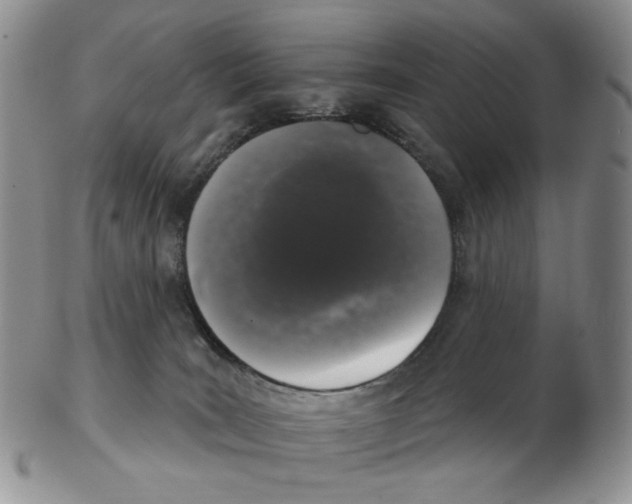 X0000102770035200809151050