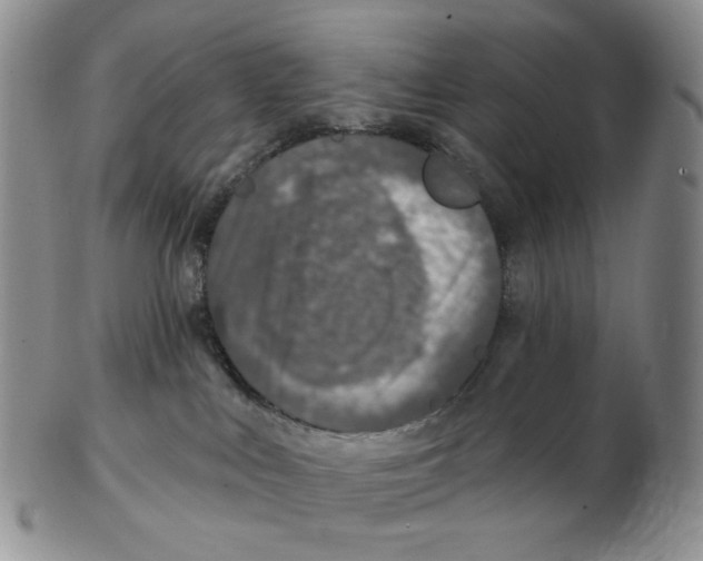 X0000102770043200809151050