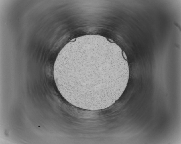 X0000102770044200809151050