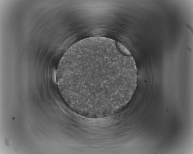 X0000102770046200809151050