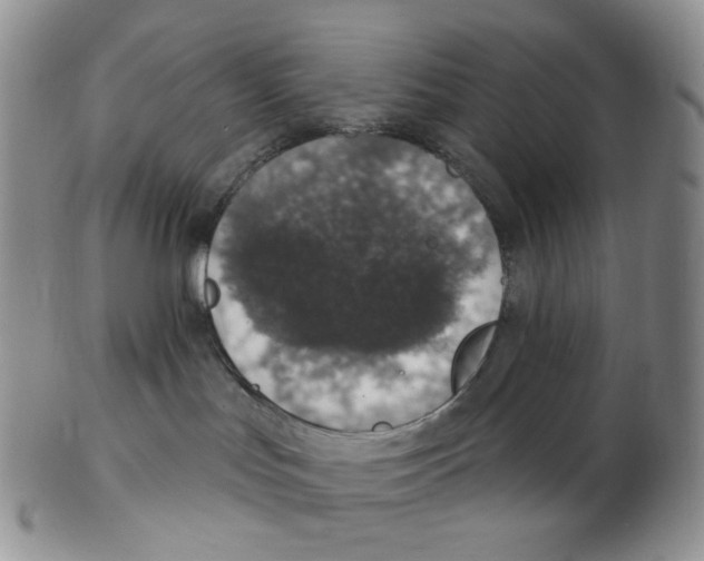 X0000102770047200809151050