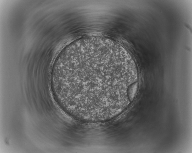 X0000102770049200809151049