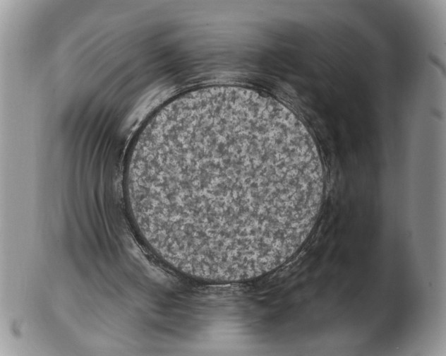 X0000102770050200809151049