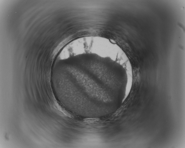 X0000102770051200809151049