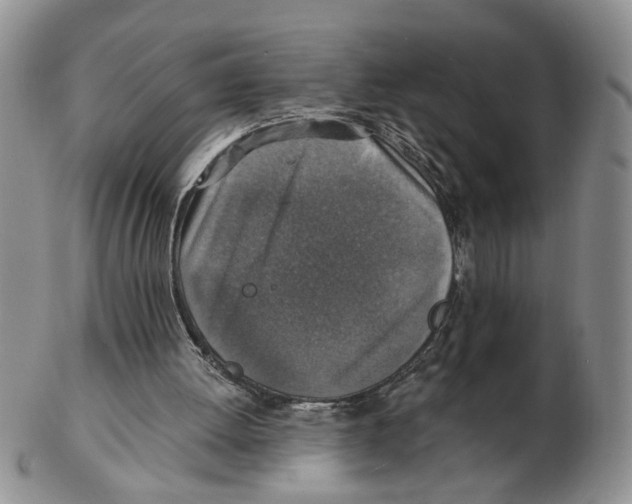 X0000102770052200809151049