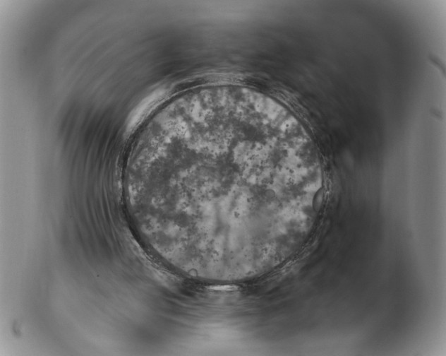 X0000102770053200809151049