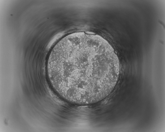 X0000102770054200809151049