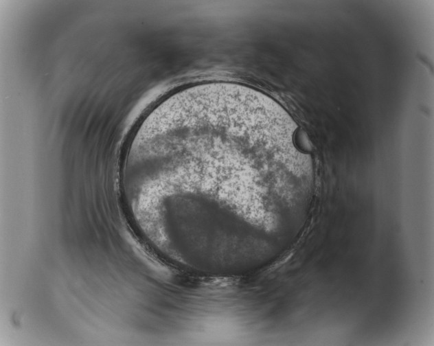 X0000102770056200809151049