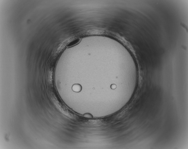 X0000102770057200809151049