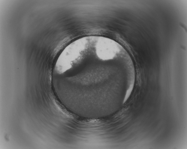 X0000102770059200809151049