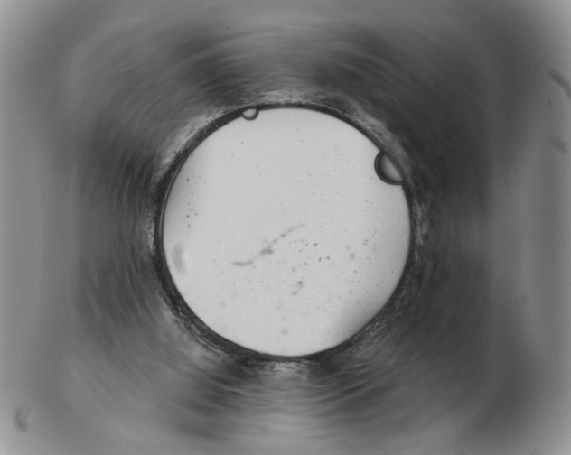 X0000102770060200809151049