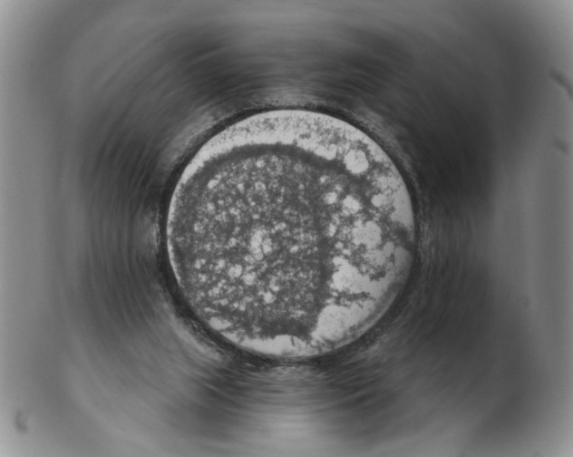 X0000102770063200809151049