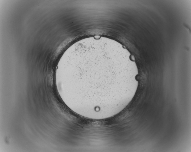 X0000102770064200809151049