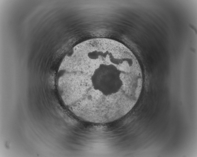 X0000102770065200809151049