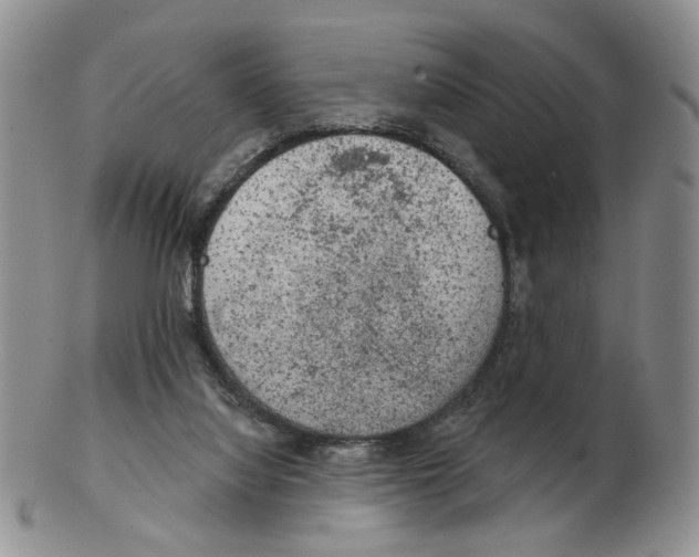 X0000102770068200809151049