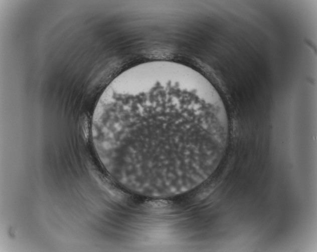 X0000102770069200809151049