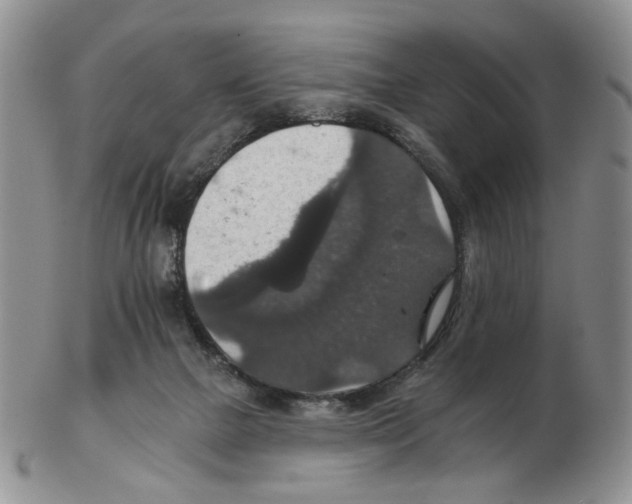 X0000102770073200809151049