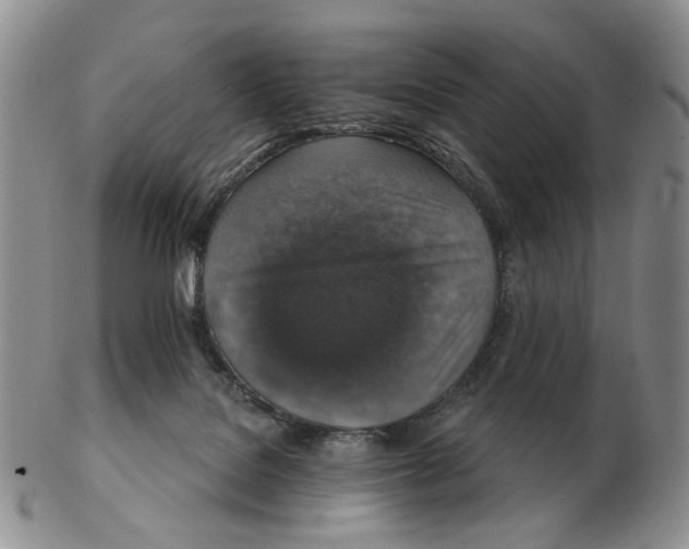 X0000102770076200809151049