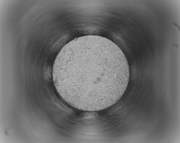 X0000102770077200809151050