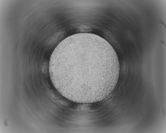 X0000102770078200809151050