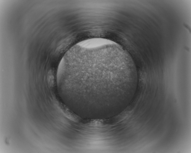 X0000102770080200809151050