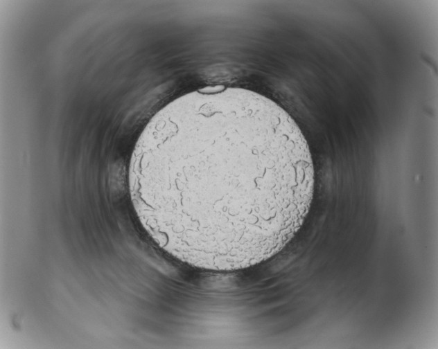 X0000102770081200809151050