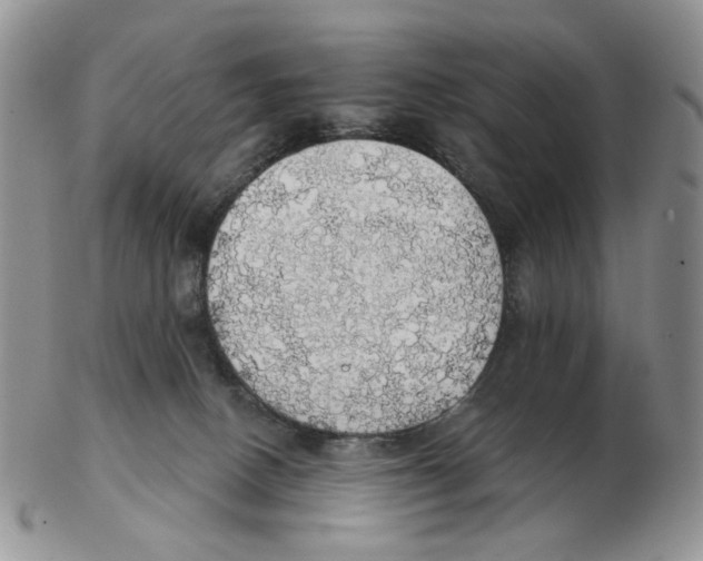 X0000102770082200809151050