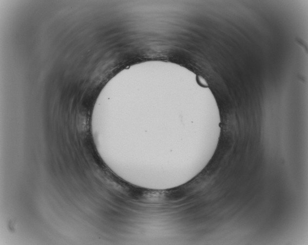 X0000102770084200809151050