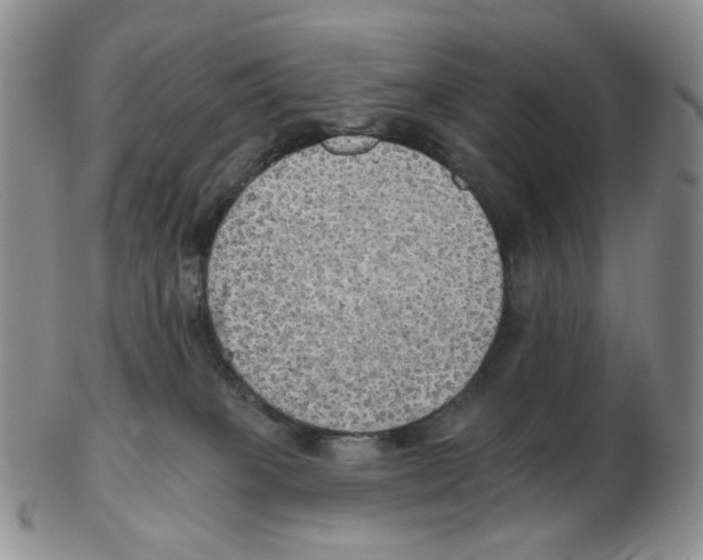 X0000102770085200809151050