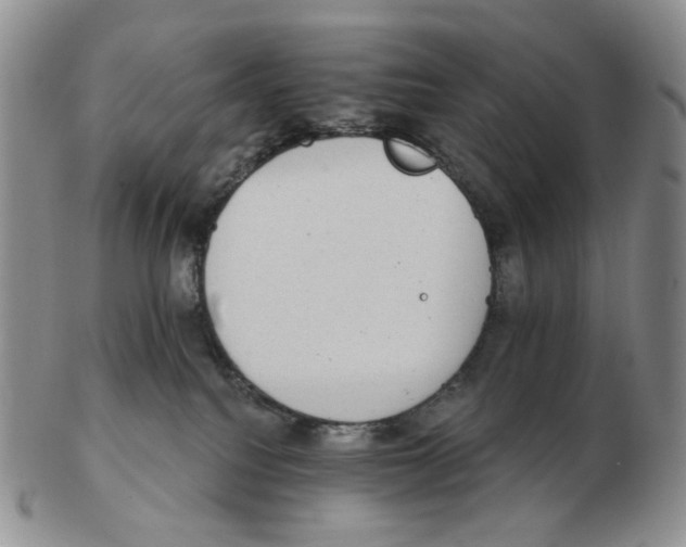 X0000102770088200809151050