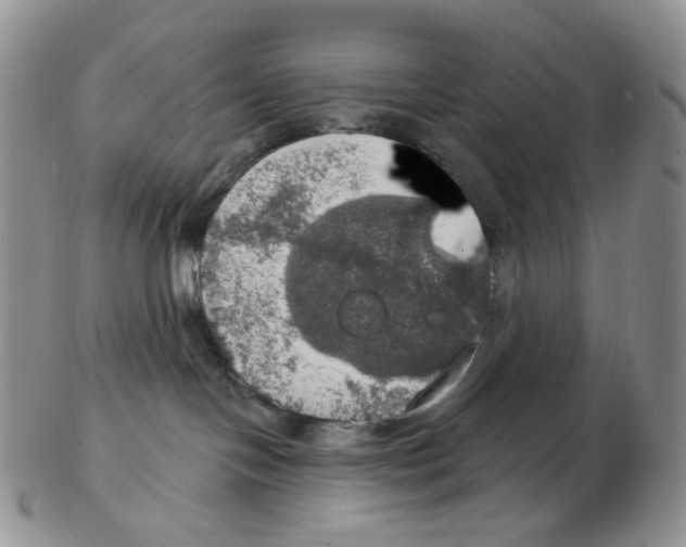 X0000102770094200809151050