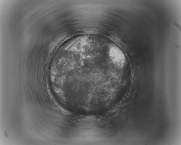 X0000102770097200809151049