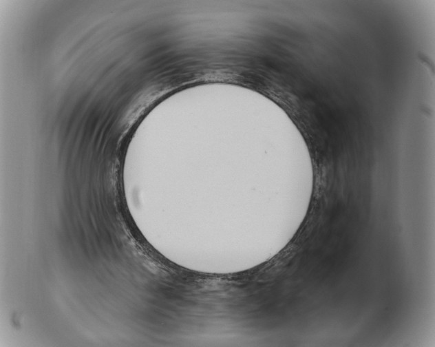 X0000102770098200809151049