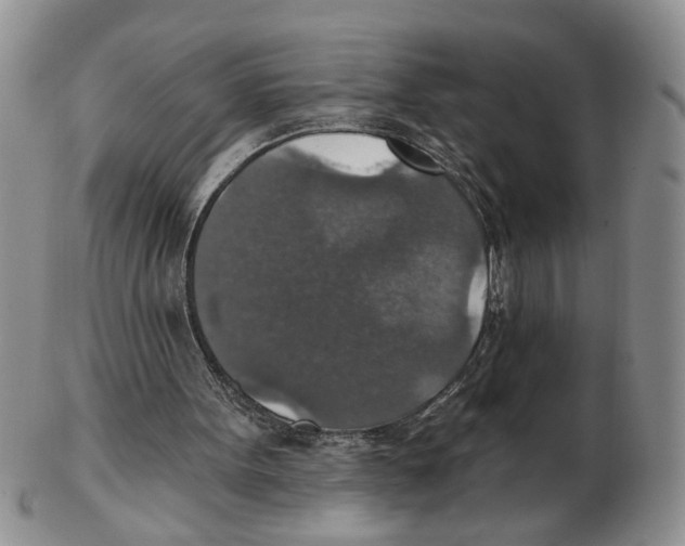 X0000102770099200809151049