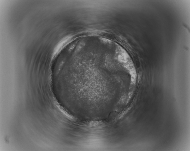 X0000102770101200809151049