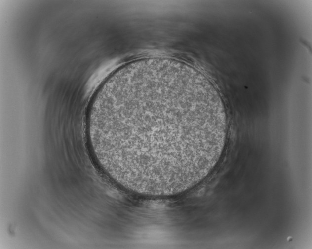 X0000102770103200809151049