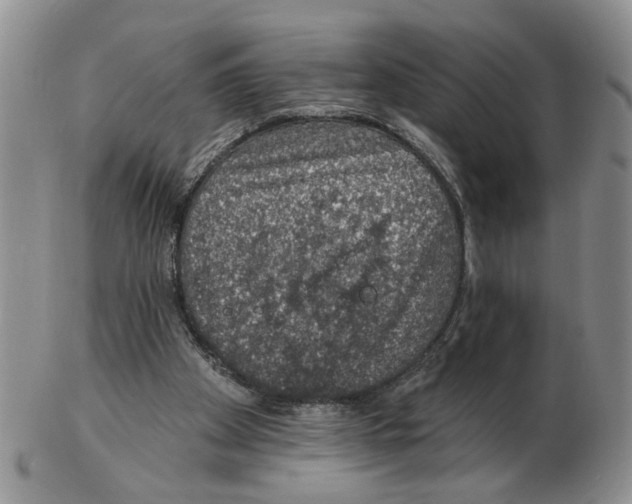 X0000102770105200809151049