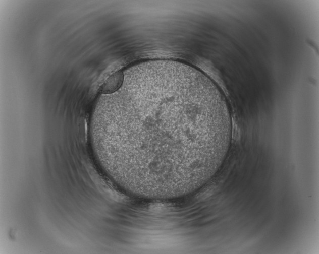 X0000102770109200809151049