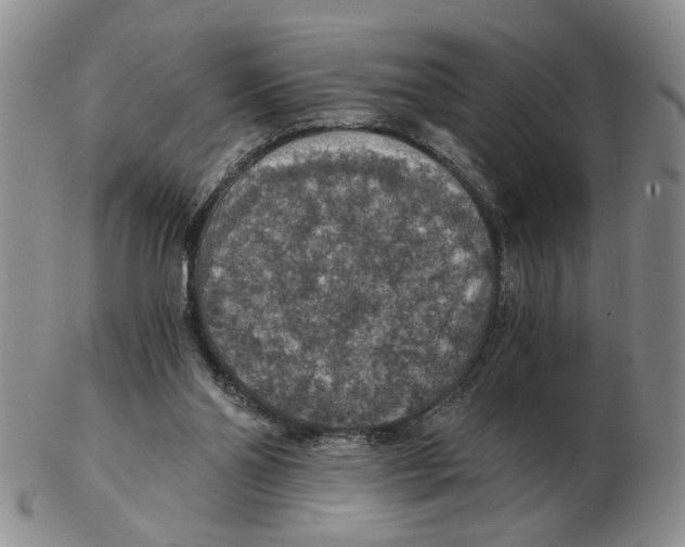 X0000102770110200809151049